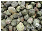 Pebble-1, Grey Stone Pebble & Gravels