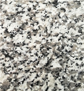 Nehbandan Gray Granite Tiles, Iran Grey Granite