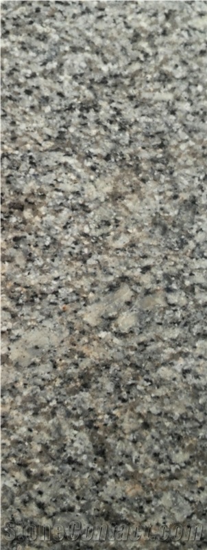 Nehbandan Gray Granite Tiles, Iran Grey Granite