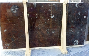 Macrofossile - Gran Fossil Marble Slabs