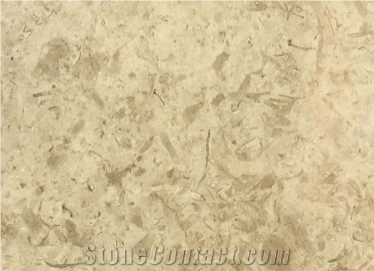 Catharina Limestone Tiles & Slabs Beige Polished Limestone Flooring Tiles, Walling Tiles