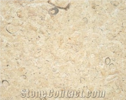 Jerusalem Shells Limestone Slabs & Tiles, Beige Polished Limestone Floor Tiles, Wall Tiles