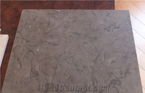 Milly Grey Fossils Marble Tile & Slab,China Grey Marble