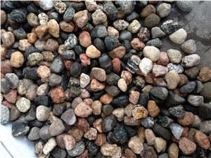 Mixed Color Flat Pebble River Stone, Natural Pebble Stone