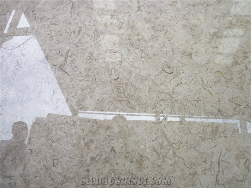 Cathreen Marble Slabs, Katrina Marble tiles & slabs, grey polished marble floor tile, wall tiles 