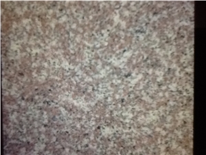Red Granite Slabs & Tiles for Wall and Floor