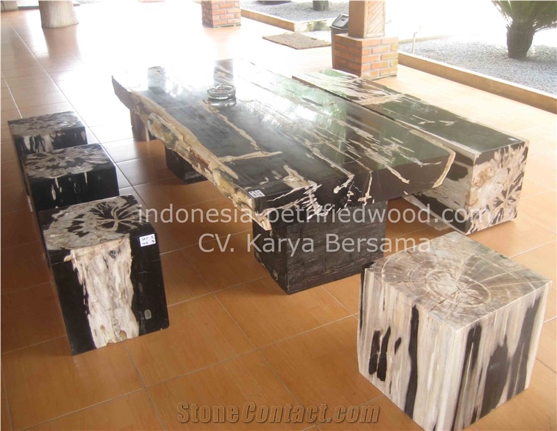 Petrified Wood Coffe Tables Furniture, Beige Tables