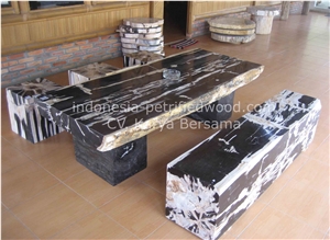 Petrified Wood Coffe Tables Furniture, Beige Tables