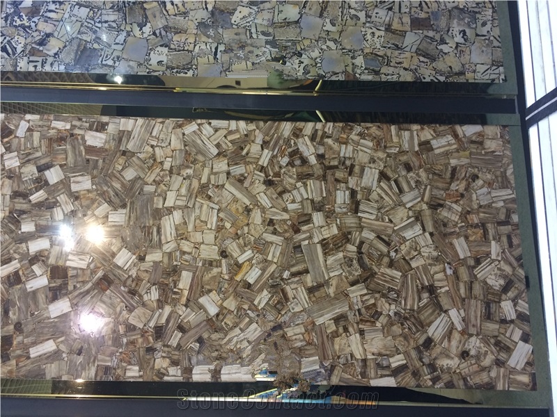 Petrified Wood Slab - Semi Precious Gemstone Semiprecious
