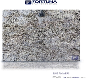 Blue Flowers Granite Slabs
