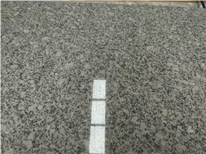 G735 Granite New Bianco Sardo Granite Tile & Slab,New-Stone Lihua White,New-Stone Lihua White, G735 Lihua White Granite（Nanhua White), China White Granite Slabs & Tiles