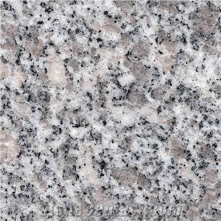 G602 Granite,China Grey Sardo,Mayflower Snow,Plum Blossom White,New Bianco Sardo,Grey Granite,G602 Slabs,G602 Tiles,G602 Wall Covering,G602 Floor Tiles,China Crystal Grey Granite,G602 Quarry Owner