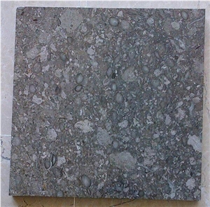Ocean Fossil Marble Marble Tiles & Slabs, Green Marble Flooring Tiles, Walling Tiles