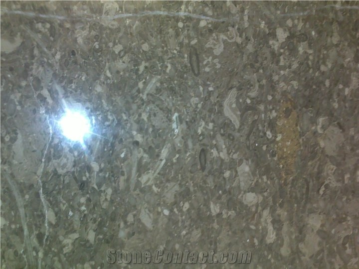 Pakistan Green Marble Tiles & Slabs, Polished Ocean Fossil Marble Flooring Tiles, Walling Tiles