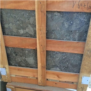 Pakistan Green Marble Tiles & Slabs, Polished Ocean Fossil Marble Flooring Tiles, Walling Tiles