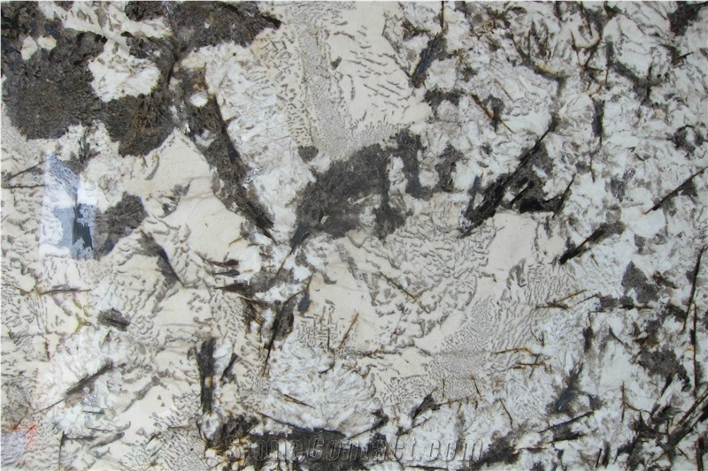 White Argento Granite Slab, Bianco Argento Granite, Giallo Argento Granite Slabs & Tiles