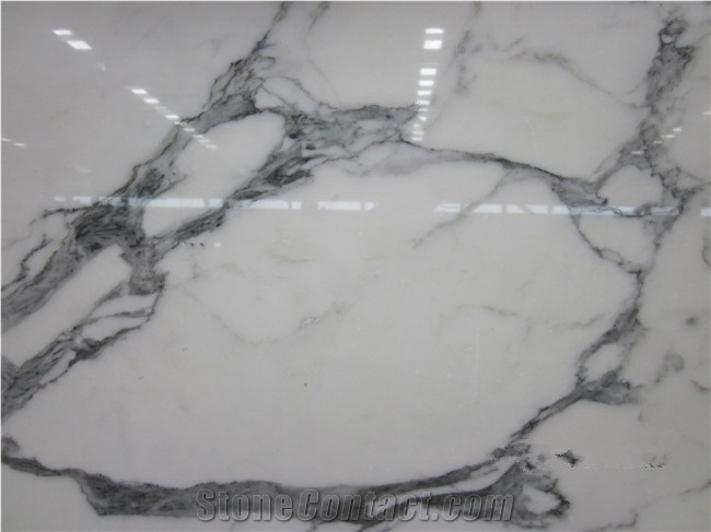 Natural White Arabescato Marble Stone Slab & Tile
