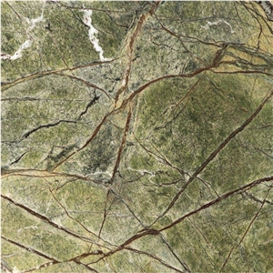 High Quality Rainforest Green Marble Tiles and Slabs
