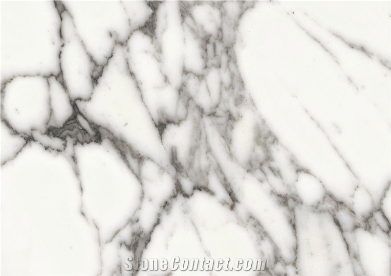 Arabescato Cervaiole Vena Grande marble tiles & slabs, white polished marble flooring tiles, walling tiles 