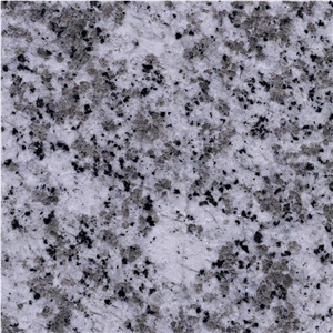 G439 Granite Tiles/China Bianco Sardo, Big Flower White Granite,Big Flower Granite Tiles