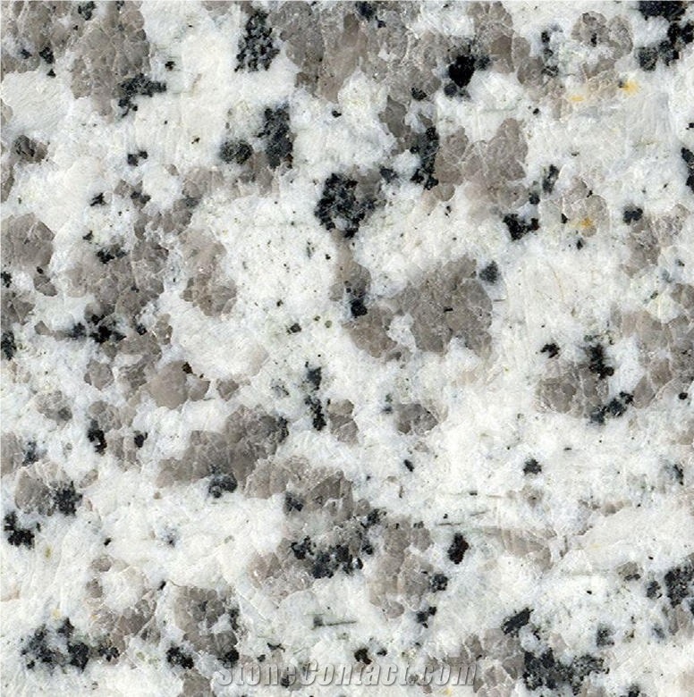 Pauline Grey Granite Slabs & Tiles, China White Granite