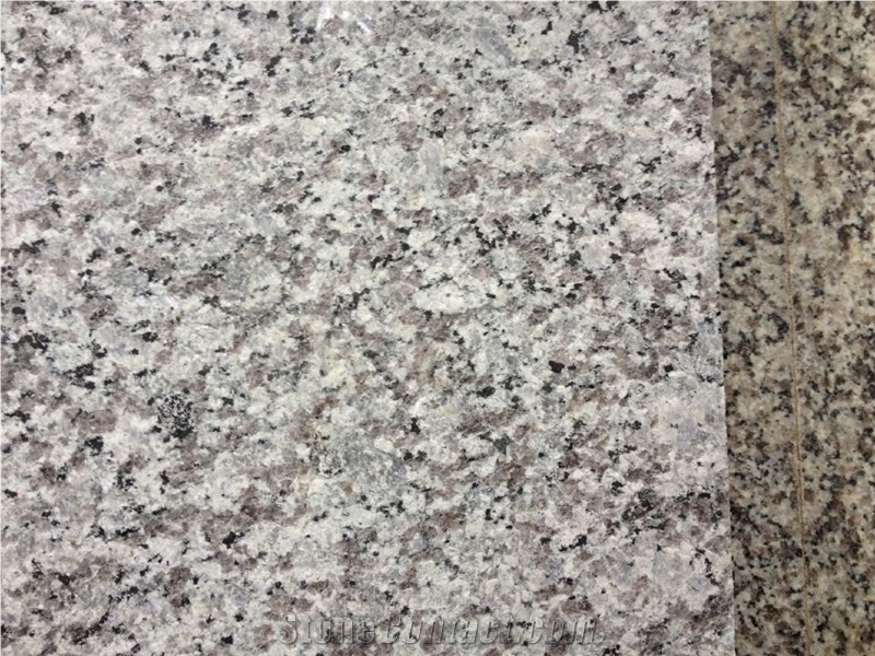 Fargo Grey Granite China Swan White Granite Flamed Tiles for Flooring/Walling