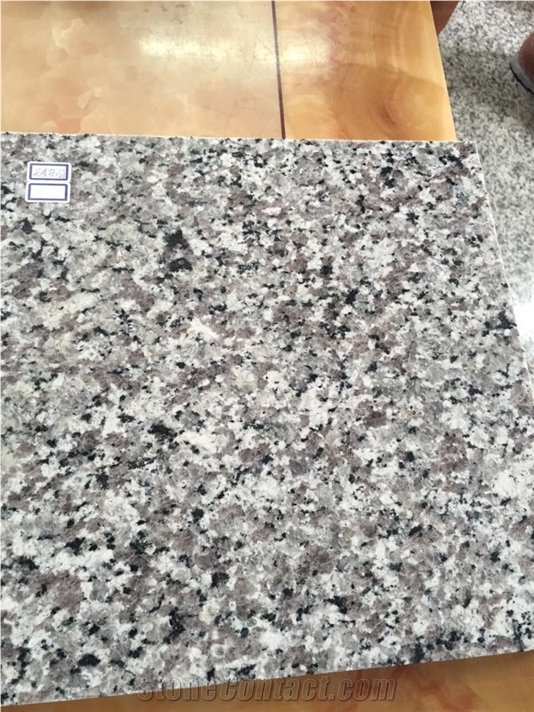 Fargo Grey Granite, China Swan White Granite Polished Tile and Slab for Wall/Floor Covering