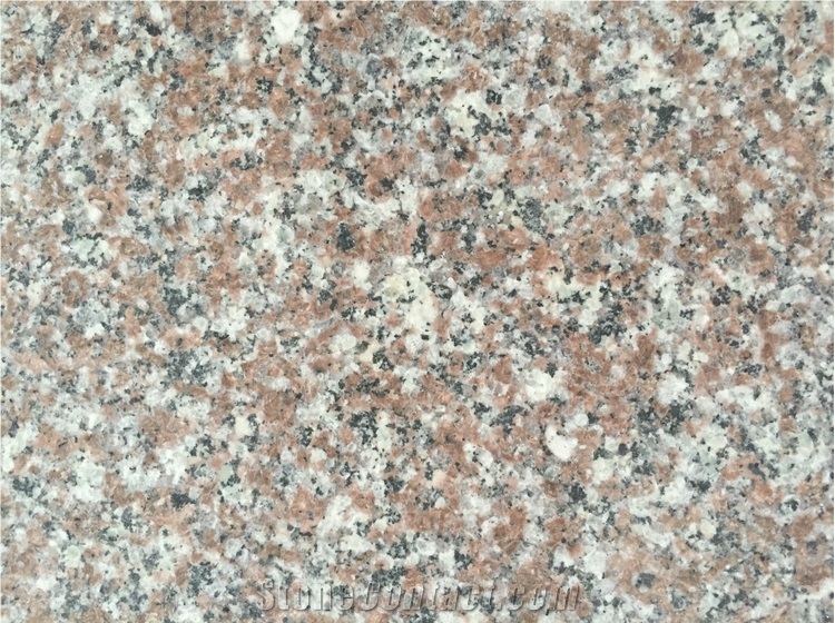 Fargo Quarry Supply G664 Granite Tile & Slab, China Cheap Granite Brainbrook Brown Granite Polished Wall/Floor Covering, Voilet Of Luoyuan Red Granite Tile for Flooring/Walling