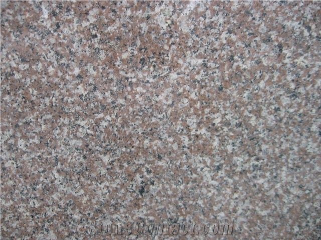 Fargo Quarry Supply G664 Granite Tile & Slab, China Cheap Granite Brainbrook Brown Granite Polished Wall/Floor Covering, Voilet Of Luoyuan Red Granite Tile for Flooring/Walling