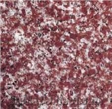China Red Granite Stone G618 Granite Tile & Slab