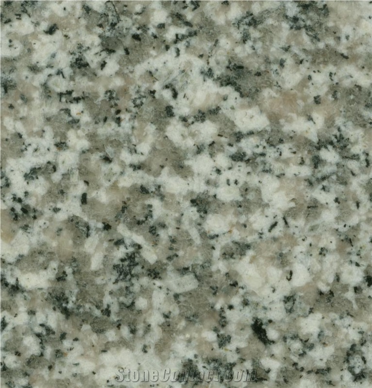 Polished White Granite Stone Haicang White Granite Tile & Slab