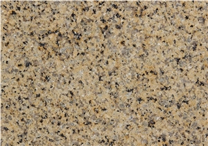 Charme Granite tiles & slabs, yellow granite floor tiles, wall tiles 
