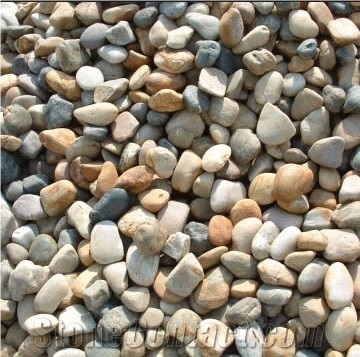 Chinese Natural Mix Color Pebbles Stone for Outdoor Decoration