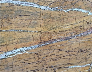 Tropical Rain Forest Brown Marble Slabs & Tiles