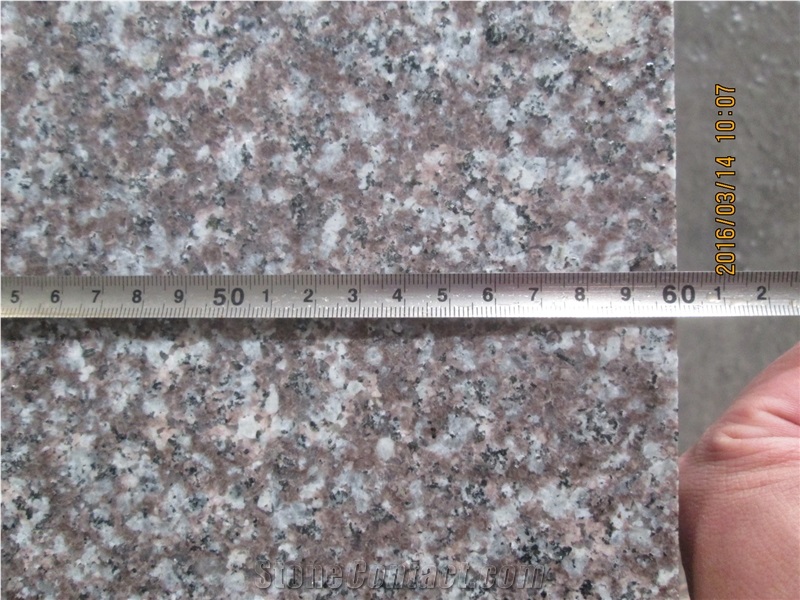 G664 Good Quality Granite Tile & Slab Cut to Size for Interior-Exterior Decoration