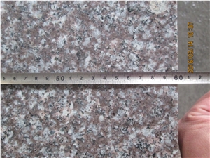 G664 Good Quality Granite Tile & Slab Cut to Size for Interior-Exterior Decoration