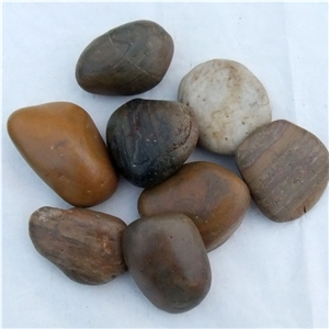 Smc-Pm013 583cm Polished Agrade Mixed Color Cobbl & Pebble Stone/Riverstone/Landscaping Stone/Walking Stone