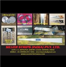 Silver Strips (India) Pvt Ltd
