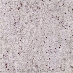 Good Price Kashmir White Slabs and Tiles/Cachemire White for Wall and Floor Covering/India Natural Granite Building Material