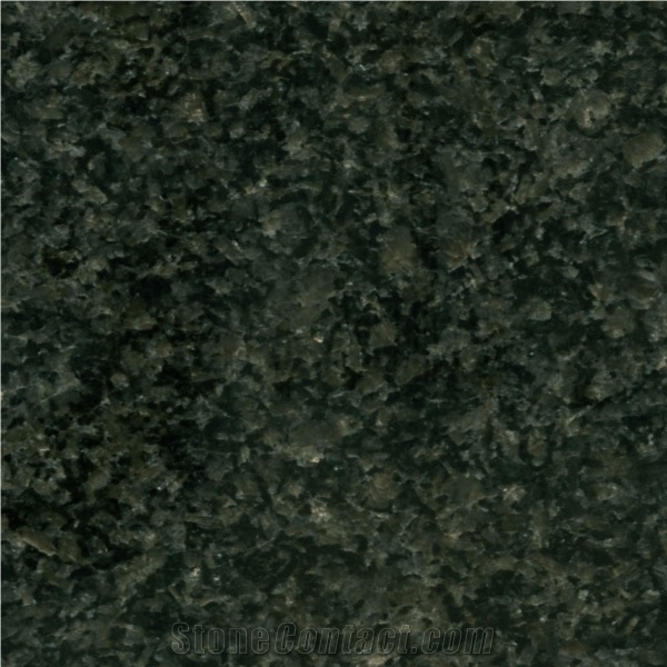South Africa Black Granite Tile,Slab,Flooring,Wall Tile,Cut-To-Size,Paving,Floor Covering,Absolute Black Granite