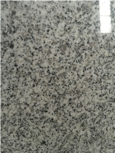 New G603 Dalian G603 Granite Slabs & Tiles, China Grey Granite
