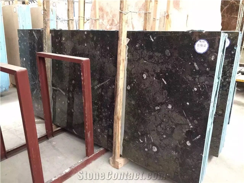 Moroccan Fossile Black Marble Nero Fossil Black Marble Slab