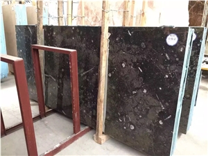 Moroccan Fossile Black Marble Nero Fossil Black Marble Slab