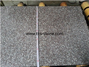 China G664 Polished Granite/Luo Yuan Red Granite/ Brainbrook Brown Granite/Black Spots Brown Granite/China Pink Tiles & Slabs for Floor and Wall Covering