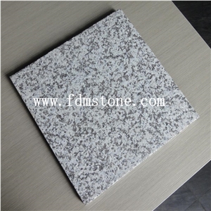 Padong Light Grey Granite Polished Small Slab for Middle East Countries
