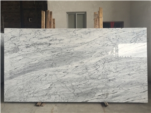 Venato Carrara White Gioia Italy White Marble Tile & Slab