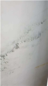 Marble Wall Covering Tiles/ Grace White Jade