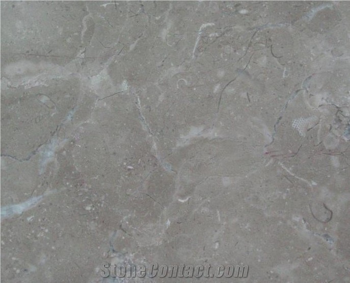 Bossy Grey Mabrle Tiles & Marble Slabs / Cut to Size for Interior Stone Wall Coving / Flooring Paving,China Gray Marble Tiles