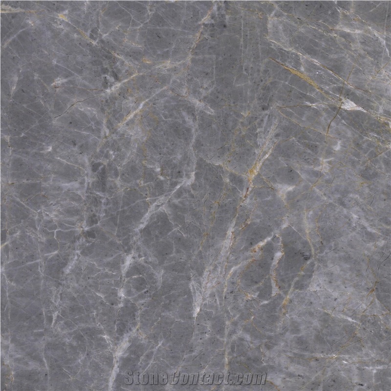 Custer Grey Marble Tiles & Slabs, China Grey Marble Tiles for Hotel Decoration
