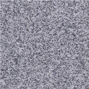 G603 Bianco Sardo Pepperino Light Grey Granite Tiles Polished / Tiles for Walling / Floor Covering